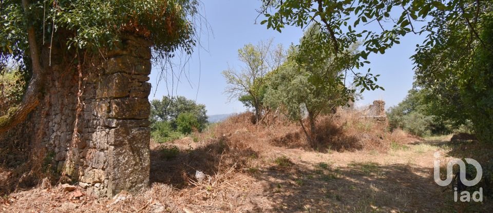 Farm T0 in Chão de Couce of 72 m²