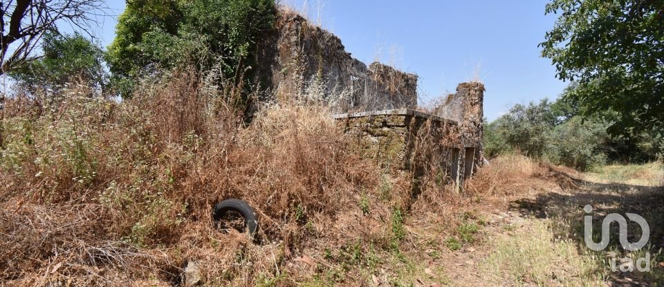 Farm T0 in Chão de Couce of 72 m²