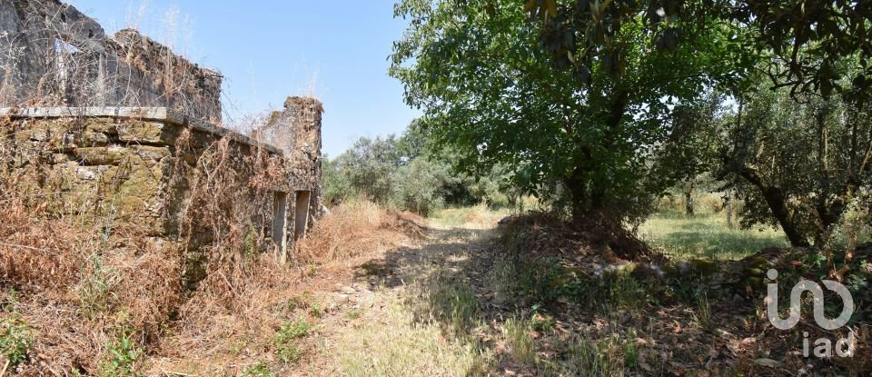 Farm T0 in Chão de Couce of 72 m²