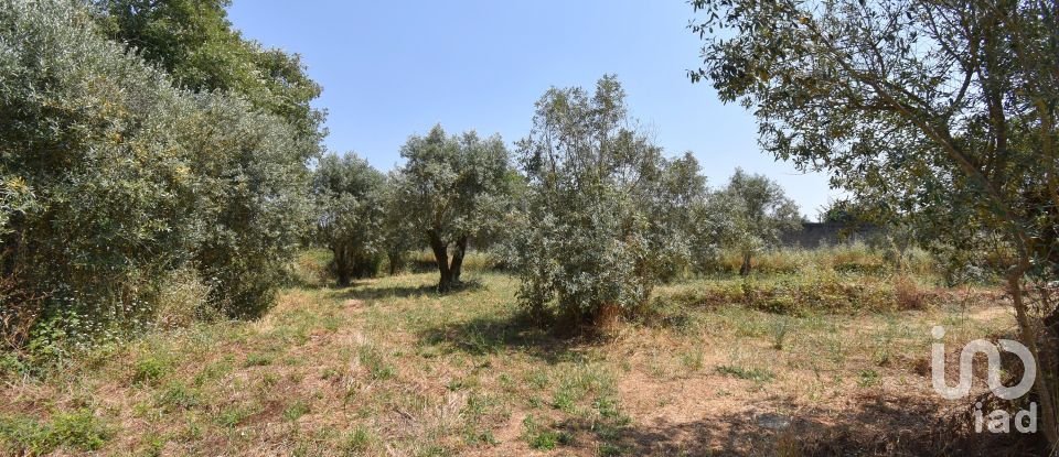 Farm T0 in Chão de Couce of 72 m²