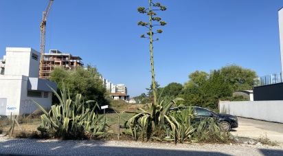 Terrain à Marinha Grande de 3 798 m²