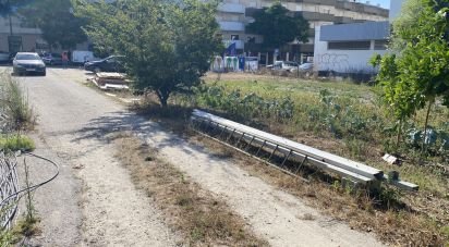 Terrain à Marinha Grande de 3 798 m²