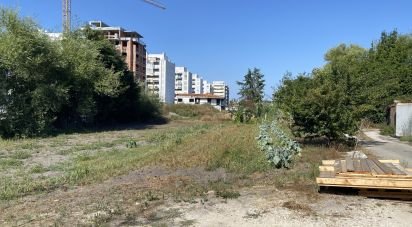 Terrain à Marinha Grande de 3 798 m²