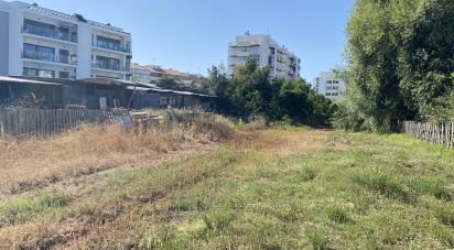 Terrain à Marinha Grande de 3 798 m²