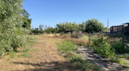 Terrain à Marinha Grande de 3 798 m²