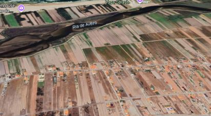 Building plot in Gafanha da Boa Hora of 1,860 m²