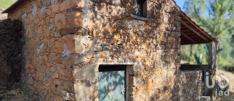 Terreno em Pedrógão Pequeno de 3 600 m²