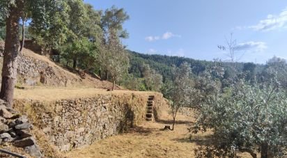 Terrain à Pedrógão Pequeno de 3 600 m²