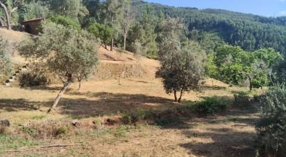 Terrain à Pedrógão Pequeno de 3 600 m²