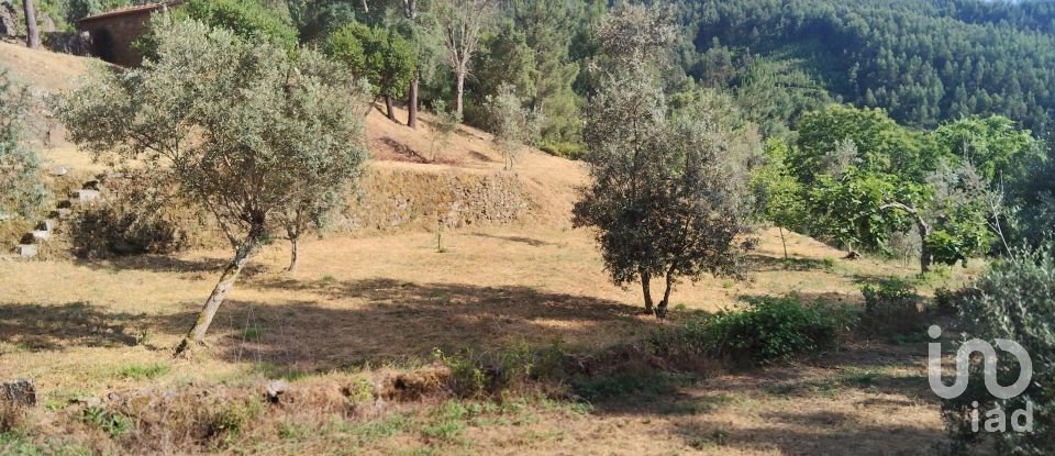 Terreno em Pedrógão Pequeno de 3 600 m²