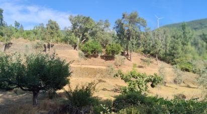 Terrain à Pedrógão Pequeno de 3 600 m²