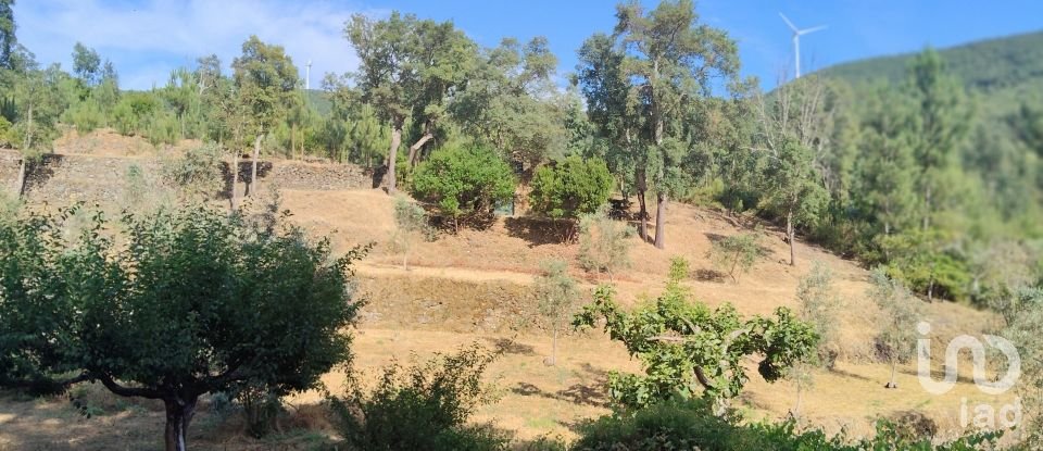 Terreno em Pedrógão Pequeno de 3 600 m²