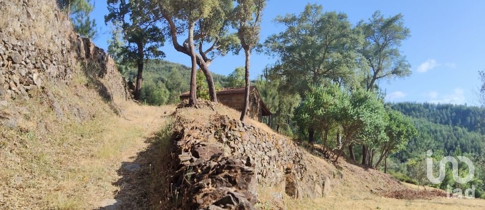 Terreno em Pedrógão Pequeno de 3 600 m²