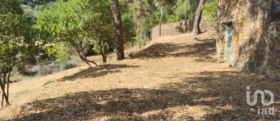 Terreno em Pedrógão Pequeno de 3 600 m²