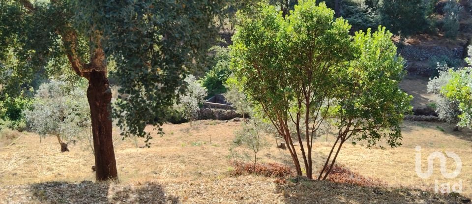 Terreno em Pedrógão Pequeno de 3 600 m²