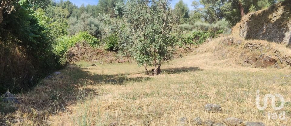 Terreno em Pedrógão Pequeno de 3 600 m²