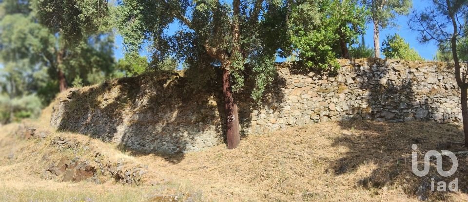 Terreno em Pedrógão Pequeno de 3 600 m²