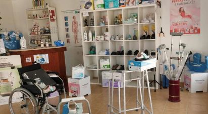 Surface diverse à Atouguia da Baleia de 128 m²