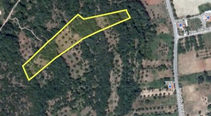 Land in Areias e Pias of 7,520 m²