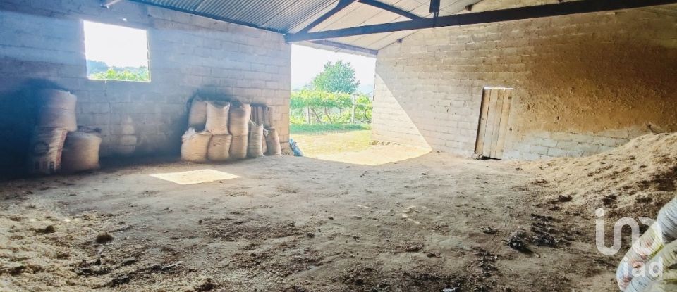 Ferme T2 à Fontoura de 150 m²