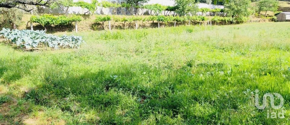 Ferme T2 à Fontoura de 150 m²