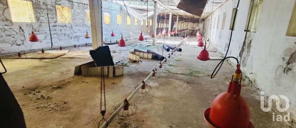 Ferme T2 à Fontoura de 150 m²