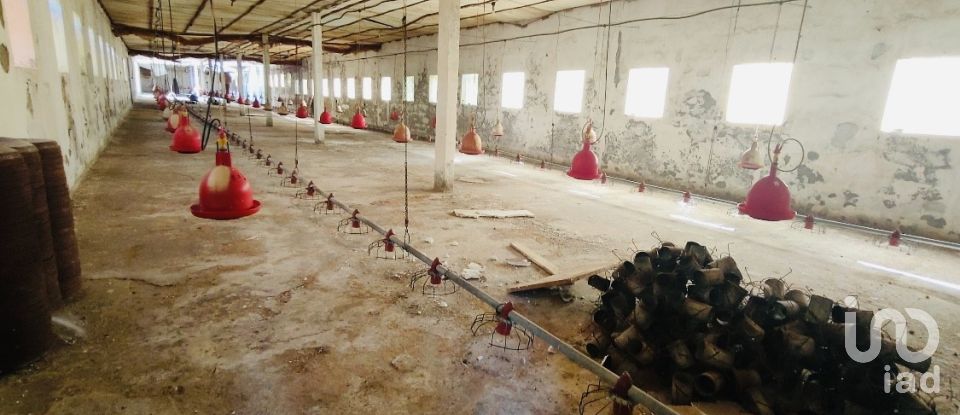 Ferme T2 à Fontoura de 150 m²