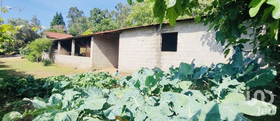 Ferme T2 à Fontoura de 150 m²