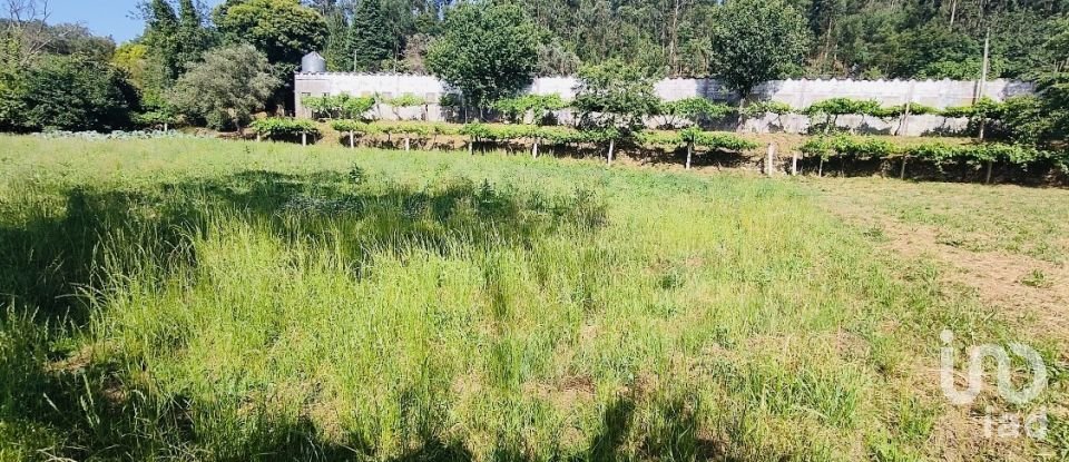 Ferme T2 à Fontoura de 150 m²