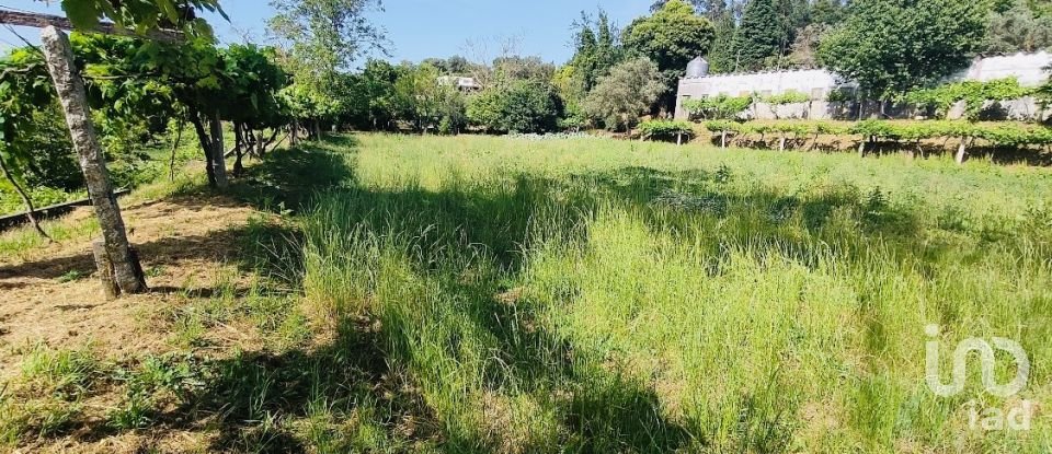 Ferme T2 à Fontoura de 150 m²