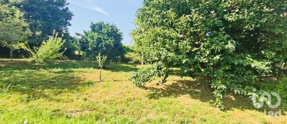 Ferme T2 à Fontoura de 150 m²