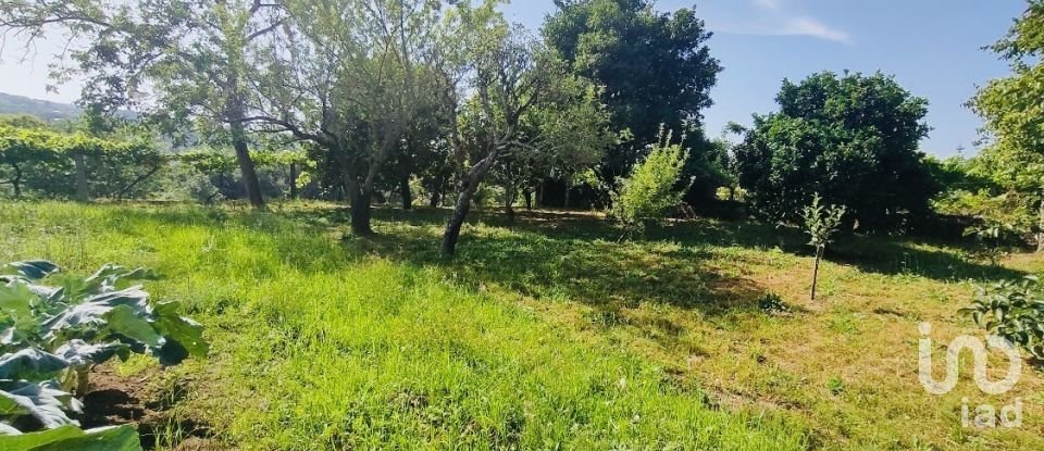 Ferme T2 à Fontoura de 150 m²