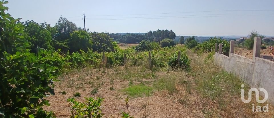 Land in Orjais of 13,681 m²