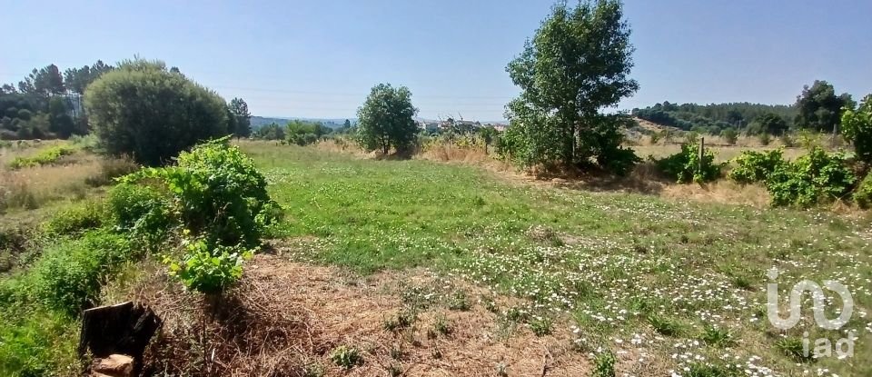 Land in Orjais of 13,681 m²