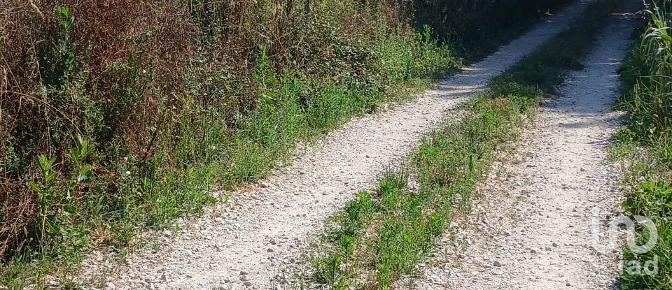 Land in Orjais of 13,681 m²