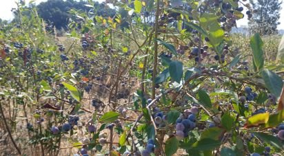 Terrain à Orjais de 13 681 m²