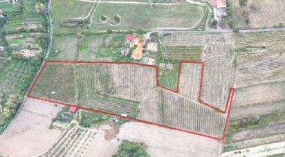 Terrain à Orjais de 13 681 m²