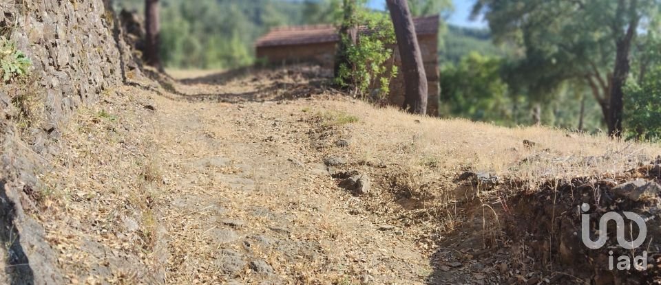 Terreno em Pedrógão Pequeno de 3 600 m²