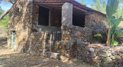 Terrain à Pedrógão Pequeno de 3 600 m²