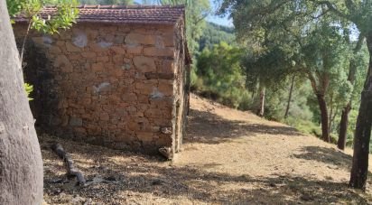 Terrain à Pedrógão Pequeno de 3 600 m²