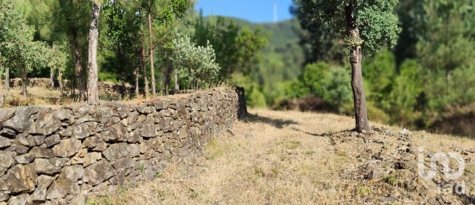 Terreno em Pedrógão Pequeno de 3 600 m²