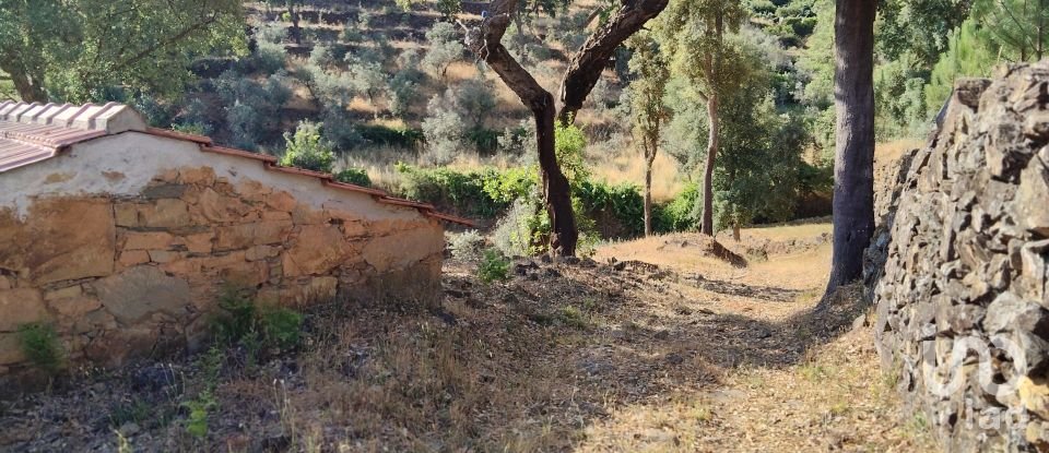 Terreno em Pedrógão Pequeno de 3 600 m²