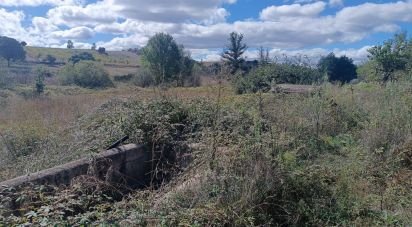 Terrain agricole à Azinhoso de 2 874 m²