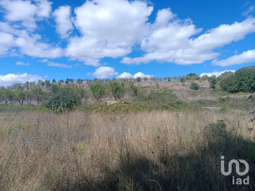 Farm land in Azinhoso of 2,874 m²