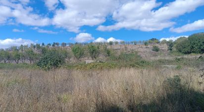 Terrain agricole à Azinhoso de 2 874 m²