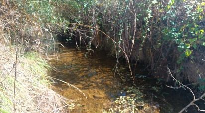 Terrain agricole à Azinhoso de 2 874 m²