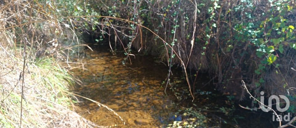 Farm land in Azinhoso of 2,874 m²