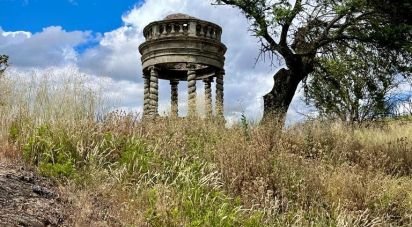 Terrain agricole à Azinhoso de 2 874 m²