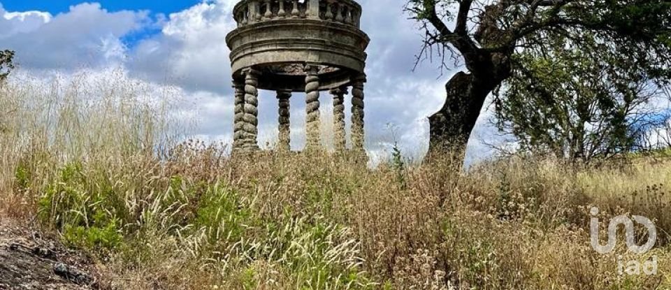 Farm land in Azinhoso of 2,874 m²