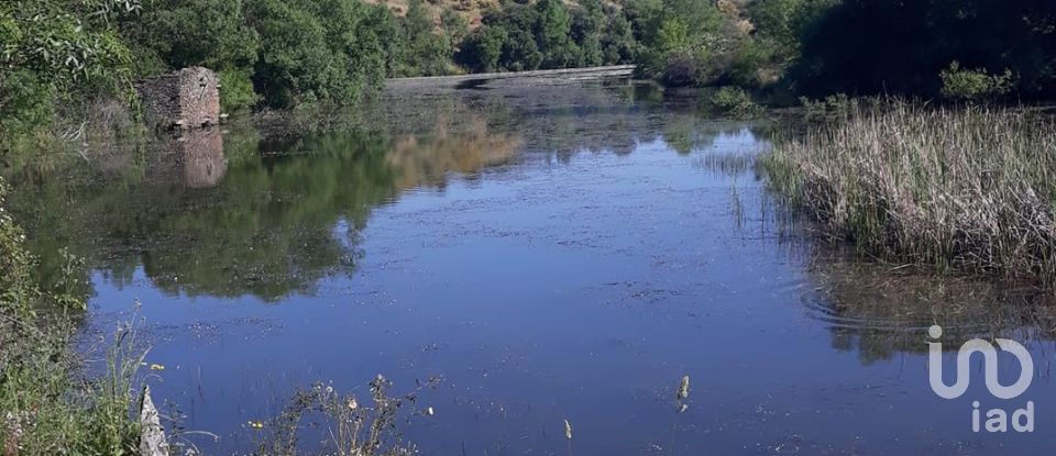 Farm land in Azinhoso of 2,874 m²